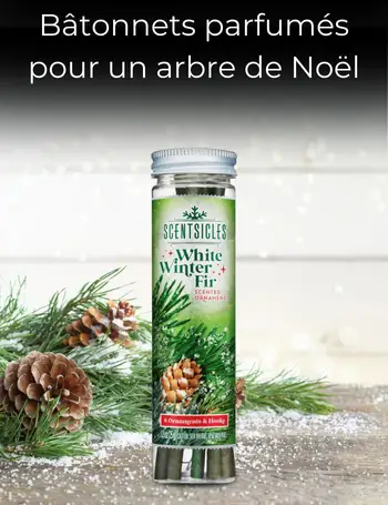 Parfums de sapin de Noël