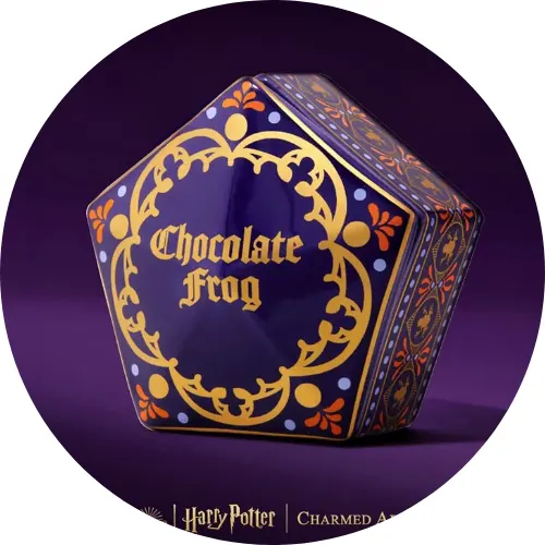 Cadeau Harry Potter