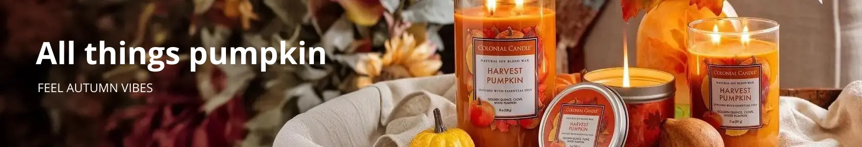 Autumn pumpkin scented candles at Candle World!