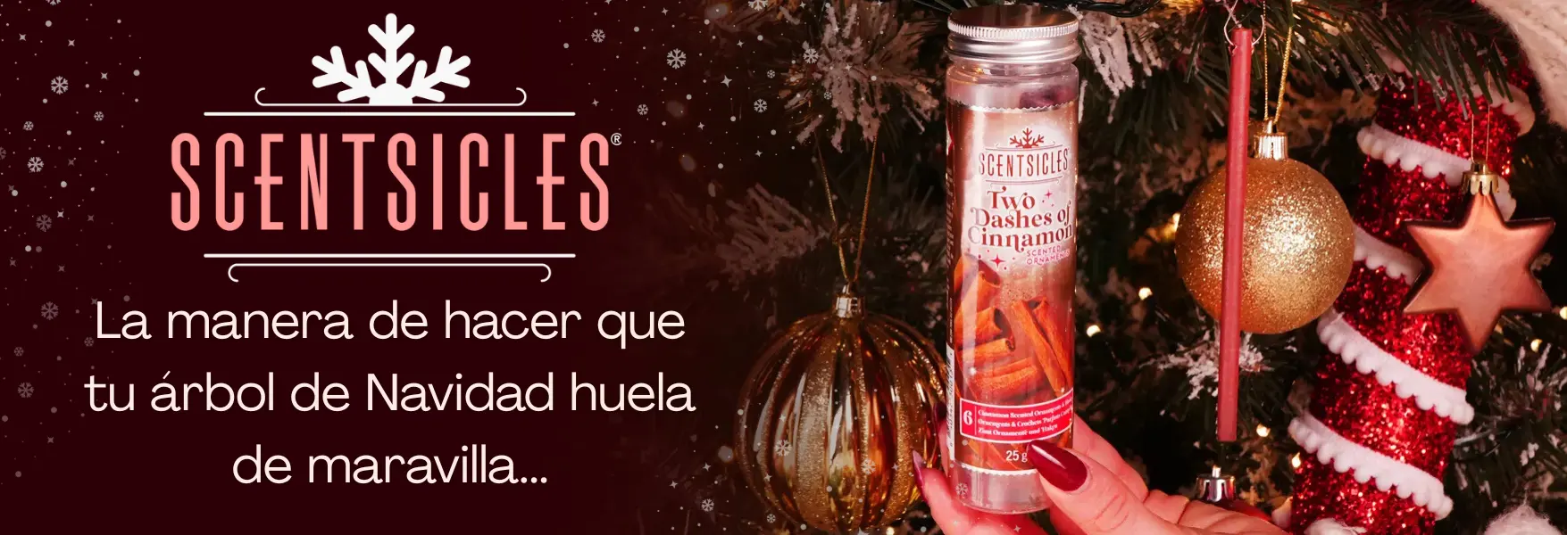 ¡El hermoso aroma del árbol de Navidad con Scentsicles!