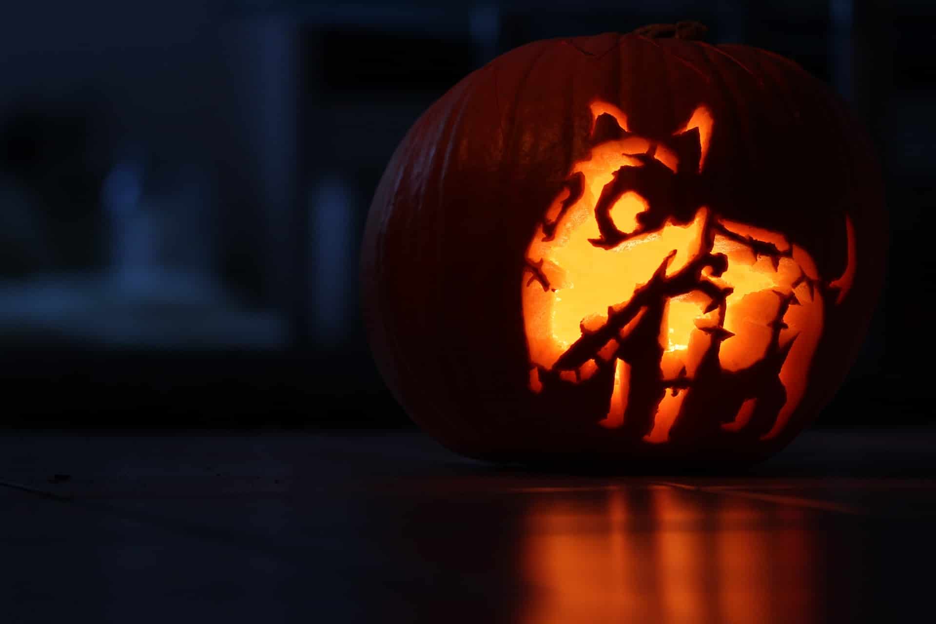 Fantasievoll geschnittene Kürbislaterne für Halloween mit Hund