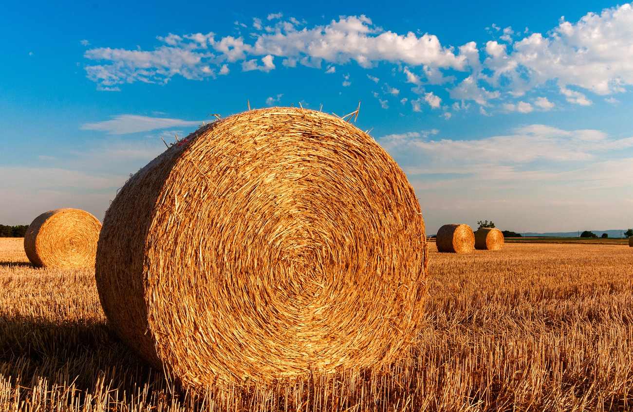 La fin de l'été est le moment idéal pour célébrer de longues soirées avec des bougies parfumées