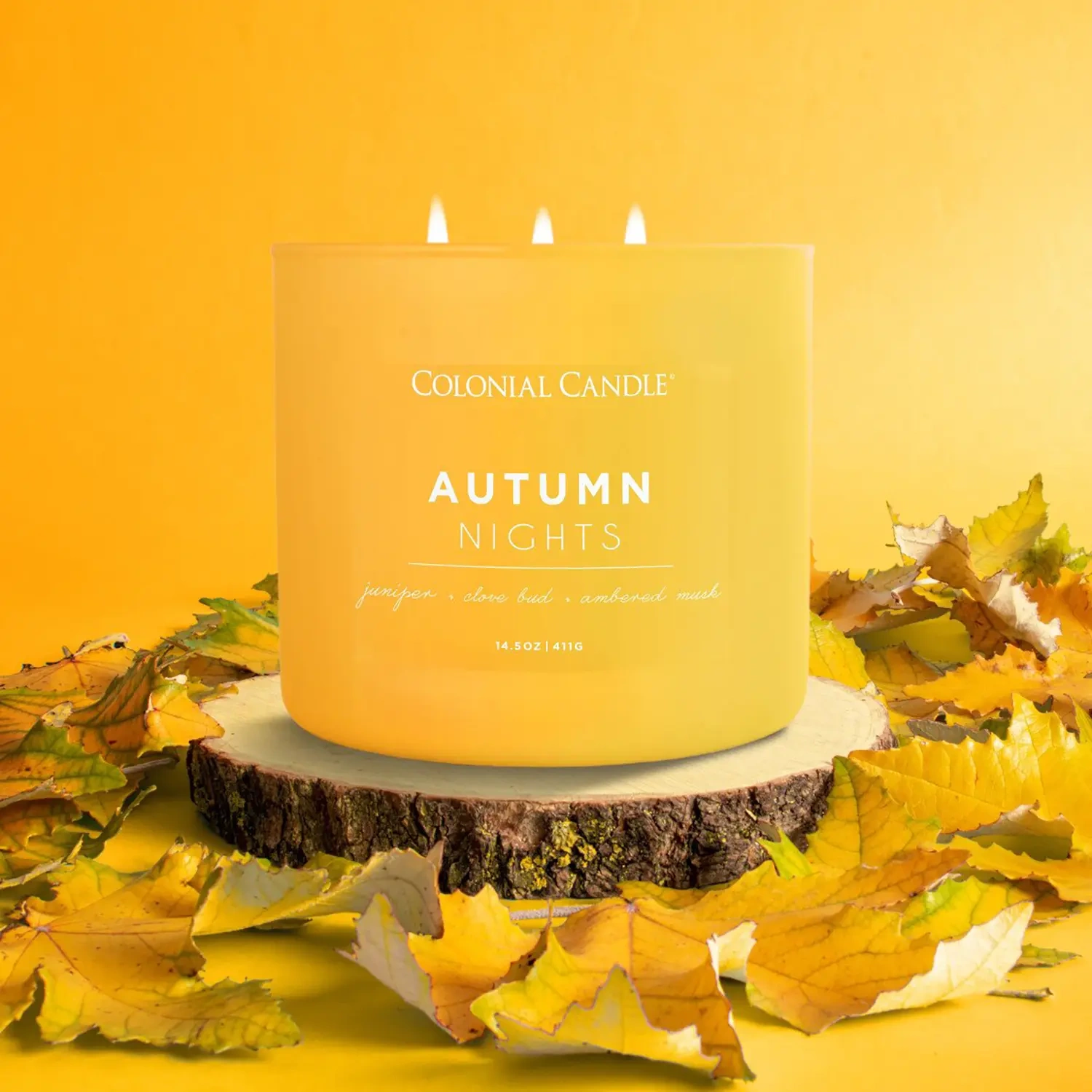 Una candela per l'autunno Colonial Candle