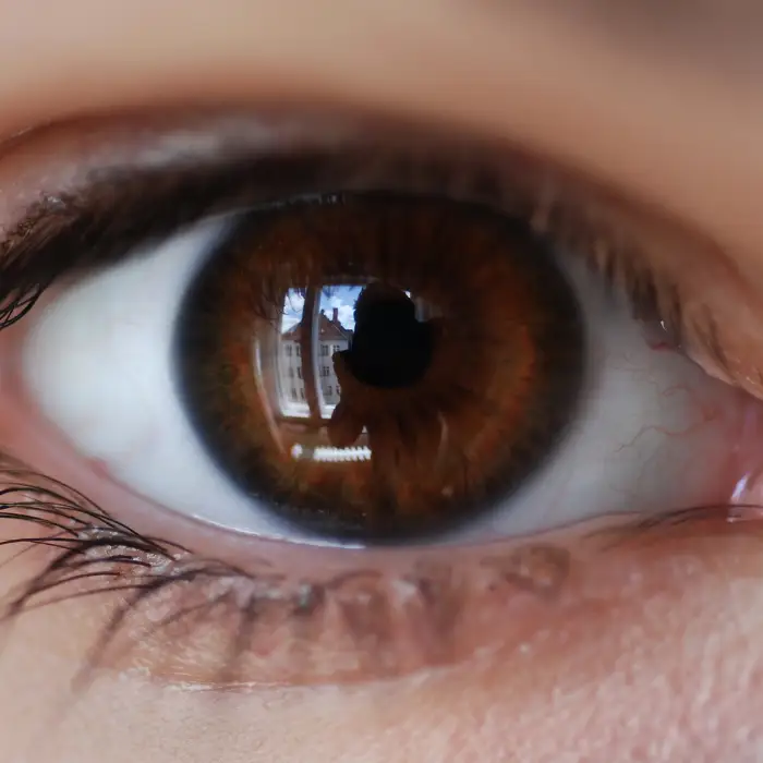 Brown and black eyes - intensity and classics