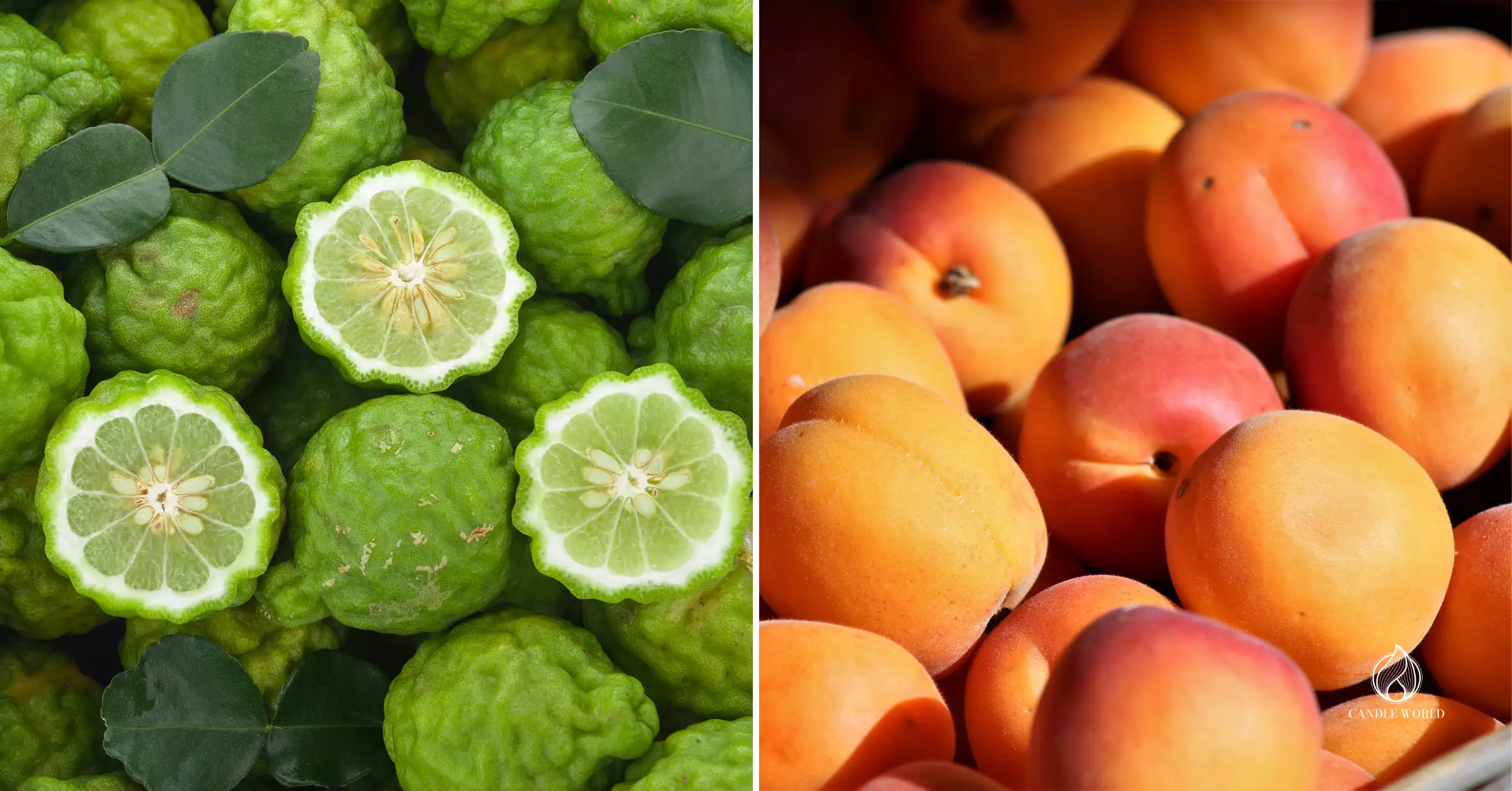 The most popular fragrance notes 2025 - bergamot, peach