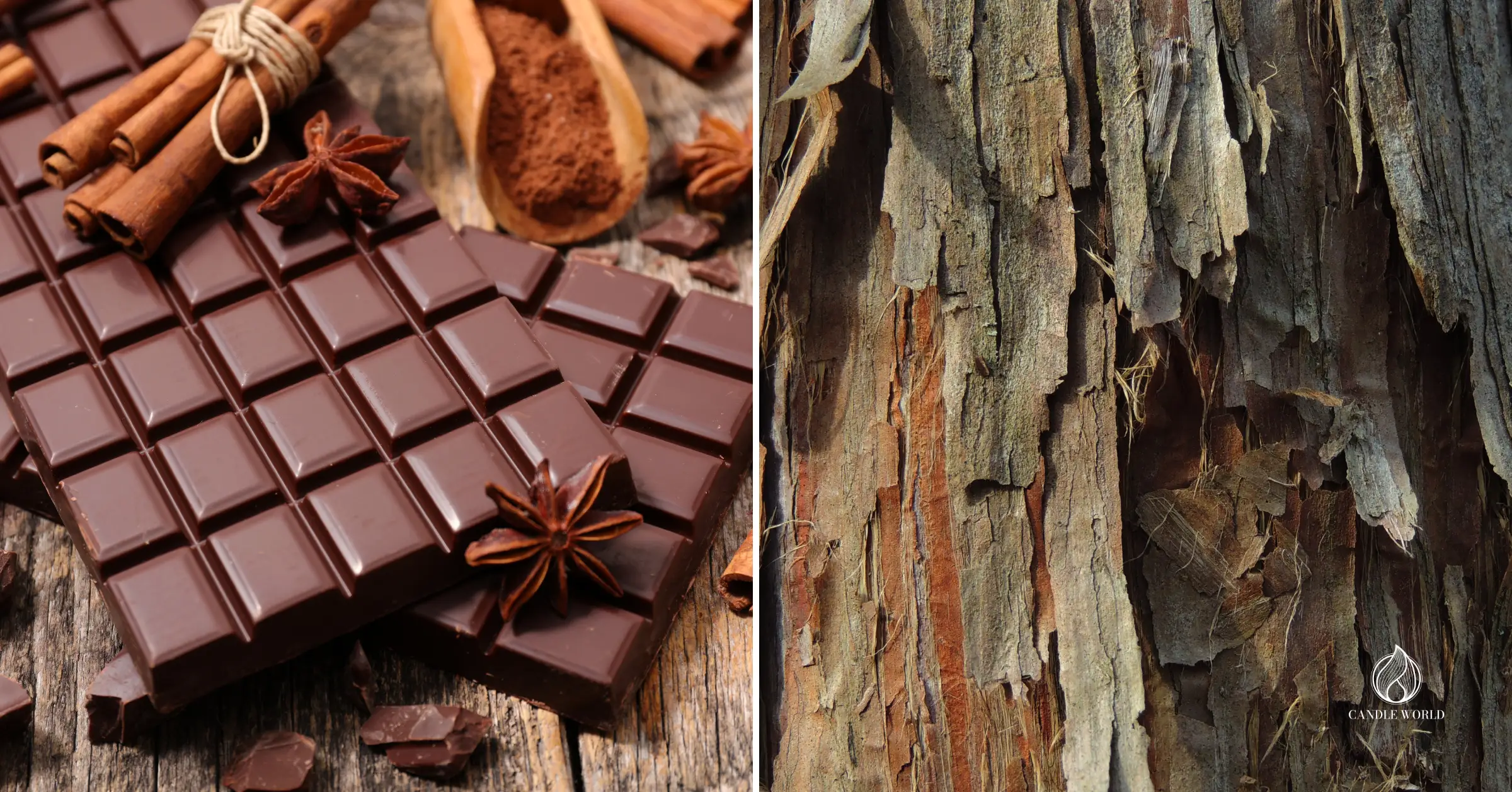 The most popular fragrance notes 2025 - chocolate, cedarwood