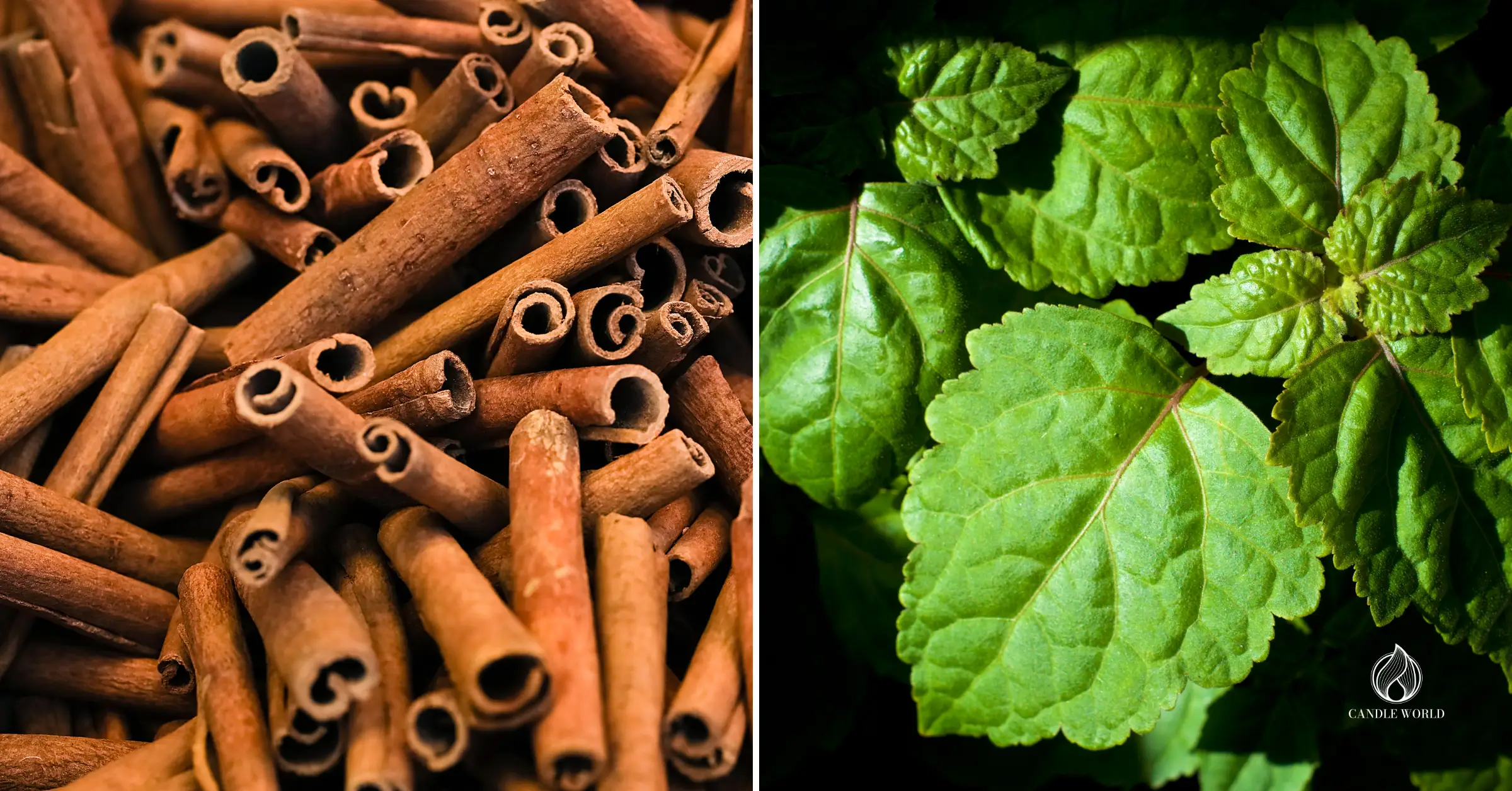 The most popular fragrance notes 2025 - cinnamon, patchouli