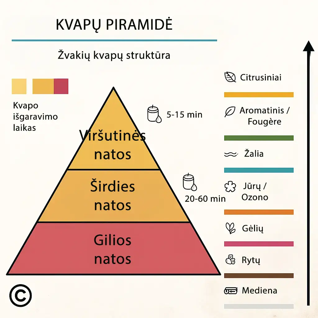 Kvapiųjų žvakių kvapų trikampis