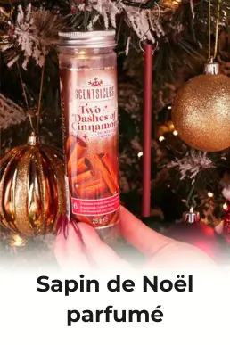 Bâtonnets parfumés Scentsicles