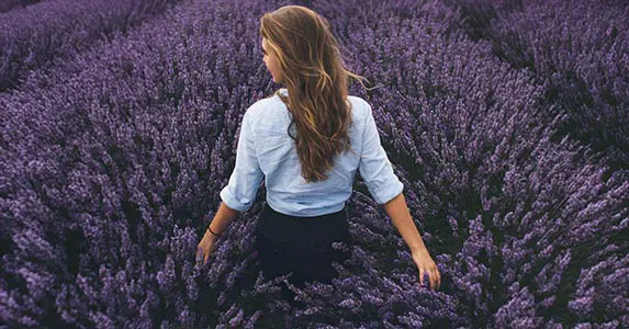 Lavendel in huis: eigenschappen en toepassingen van lavendelolie