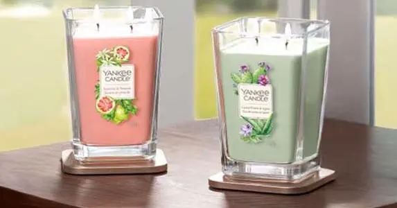 Grįžtančios klasikos 2020 m. – Yankee Candle Returning Classics 2020 kvapiosios žvakės