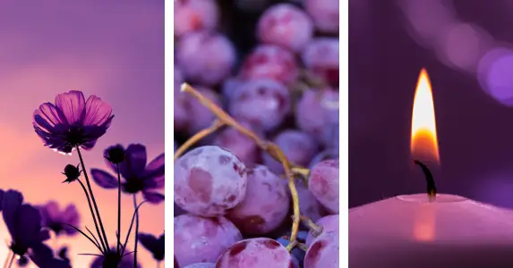 Kaip atpažįstate kvepalų natas ir ką jos sako apie jus?