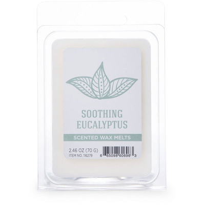 Colonial Candle Wellness Soja-Duftwachs 70 g – Beruhigender Eukalyptus