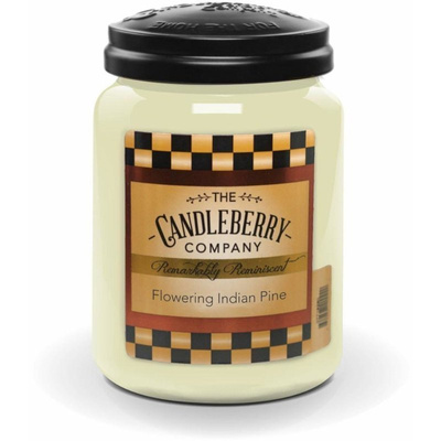 Candleberry grande bougie parfumée en verre 570 g - Pin indien fleuri