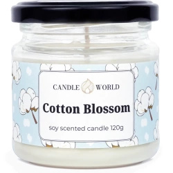 Bougie 120 g