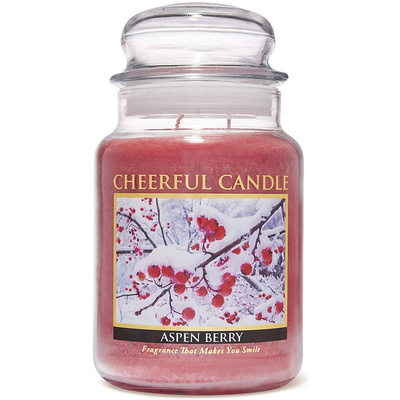 Cheerful Candle grote geurkaars in glazen pot 2 lonten 24 oz 680 g - Aspen Berry