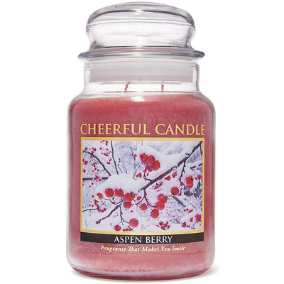 Cheerful Candle scented candle in large jar 2 wicks 24 oz 680 g - Aspen Berry