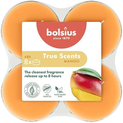 Bolsius scented warmers maxi polycarbonate 6 cm True Scents orange 8 pcs - Mango