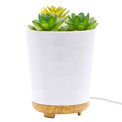 Aroma diffuser ultraschall Botanical