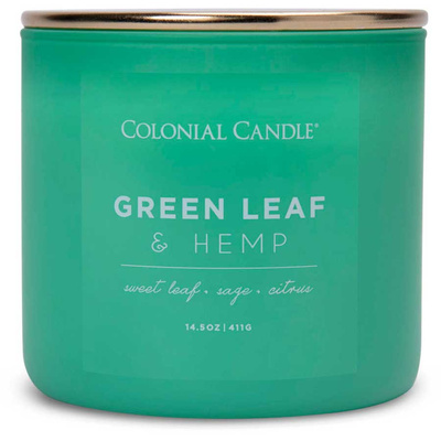 Colonial Candle Pop Of Color vonná sojová svíčka ve skle 3 knoty 14,5 oz 411 g - Green Leaf & Hemp