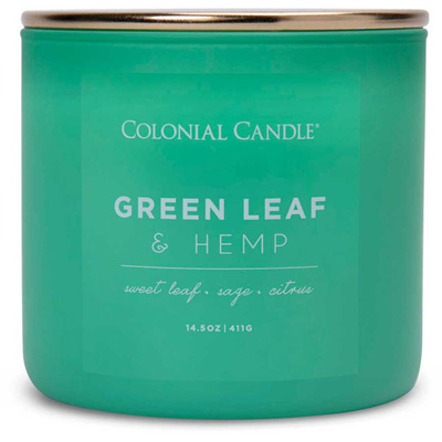 Colonial Candle Pop Of Color soy scented candle in glass 3 wicks 14.5 oz 411 g - Green Leaf & Hemp