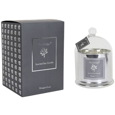 Grande bougie parfumée au soja en verre argenté avec abat-jour dans une boîte style glamour Dragon Fruit Woodbridge Candle 560 g