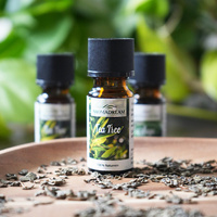 Čajovníkový olej éterický prirodzené Aroma Dream 10 ml - Tea Tree