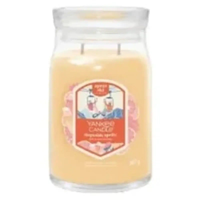 Yankee Candle Signature grote feestelijke geurkaars in glazen pot 567g - Slopeside Spritz