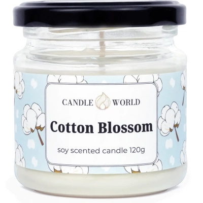 Candle World candela di soia profumata barattolo Cotton Blossom 120 g Cotone