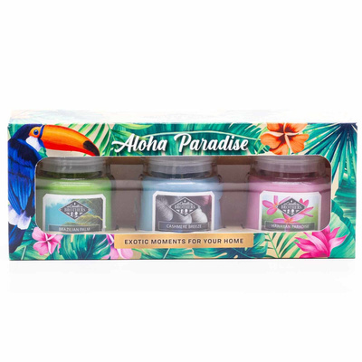 Sojowa świeca zapachowa w szkle zestaw prezentowy w pudełku Candle Brothers Aloha Paradise - Liście Palmy Kaszmirowa Bryza Hawajska Wyspa 3 x 85 g