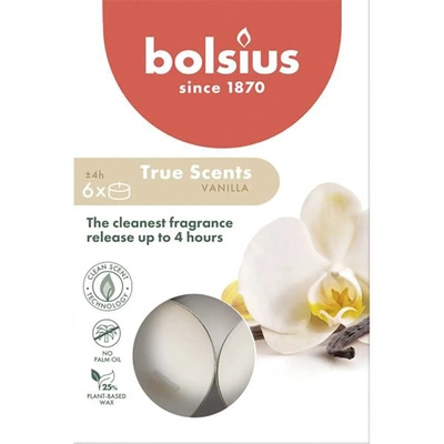 Bolsius True Scents kvepiantys arbatžolių laikikliai 6 vnt. - Vanilė Vanilla