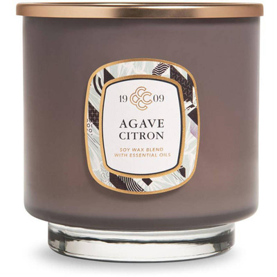 Lujosa vela perfumada Agave Citron Colonial Candle