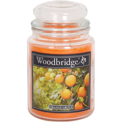 Pomarańczowa świeca zapachowa w szkle duża Woodbridge - Orange Grove