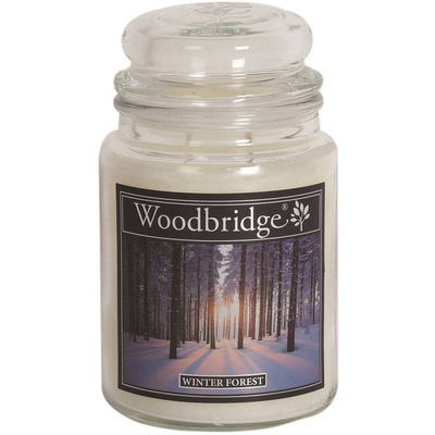 Grande bougie parfumée dans un pot en verre à deux mèches Winter Forest Woodbridge Candle 565 g