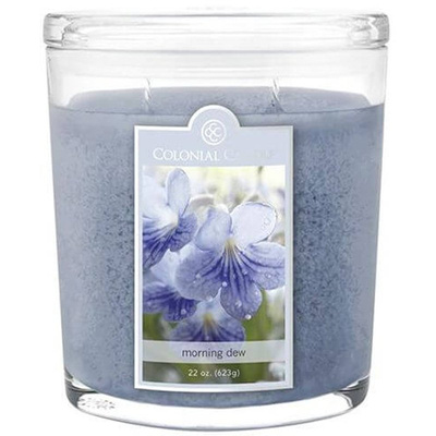 Grote ovale geurkaars Colonial Candle 623 gr - Morning Dew