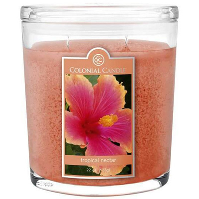 Grote ovale geurkaars Colonial Candle 623 gr - Tropical Nectar