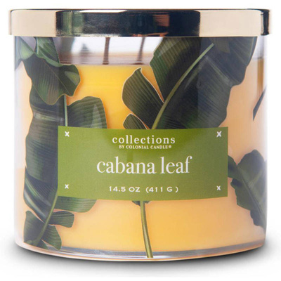 Sojová vonná svíčka Cabana Leaf Colonial Candle