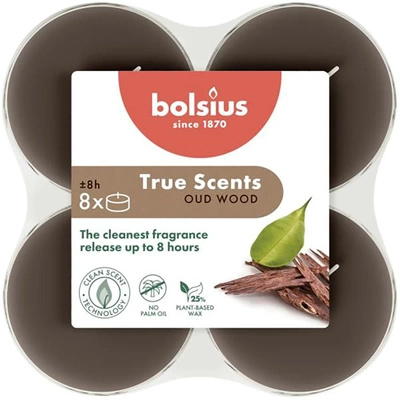 Bolsius fragrance warmers maxi polycarbonate 6 cm True Scents brown 8 pcs - Oud Wood Agarwood