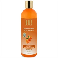 Shampoo für trockenes und coloriertes Haar mit Sanddorn und Mineralien aus dem Toten Meer 400 ml Health & Beauty