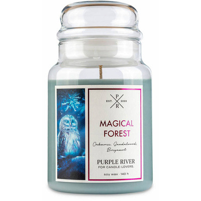 Grande bougie parfumée au soja dans en verre santal bergamote Magical Forest Purple River 623 g