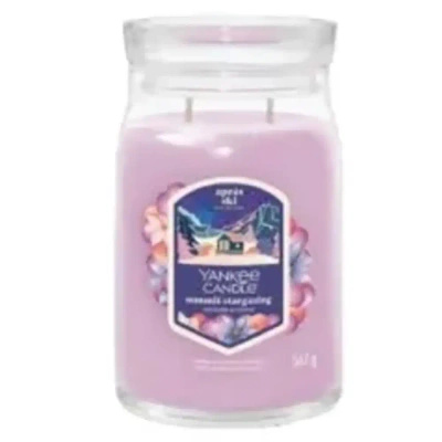 Yankee Candle Signature grote feestelijke geurkaars in glazen pot 567g - Summit Stargazing