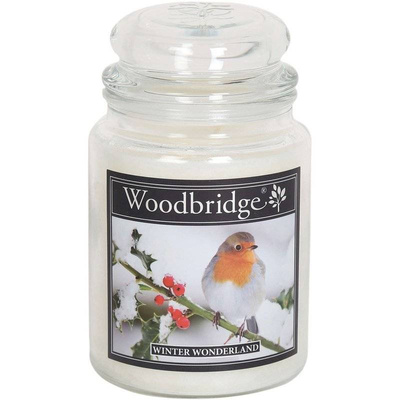 Candela profumata natalizia grande in barattolo di vetro con due stoppini Winter Wonderland Woodbridge Candle 565 g