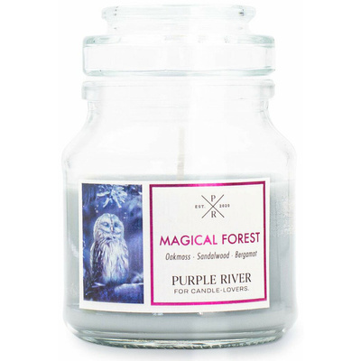 Sojová vonná svíčka Magical Forest Purple River 113 g