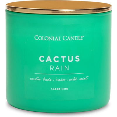 Soja geurkaars in glas 3 lonten - Cactus Rain Colonial Candle