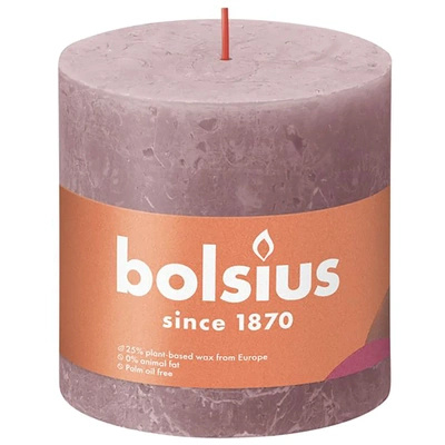 Bolsius pilastro per candele a tronco rustico Rustic Shine 100/100 mm 10 cm - Rosa cipria