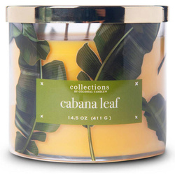 Cabana Leaf