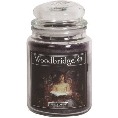 Grande bougie parfumée dans un pot en verre à deux mèches Spellbound Woodbridge Candle 565 g