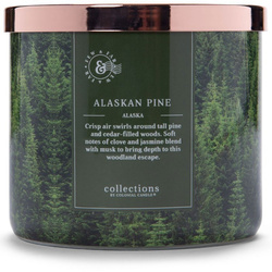 Alaskan Evergreen