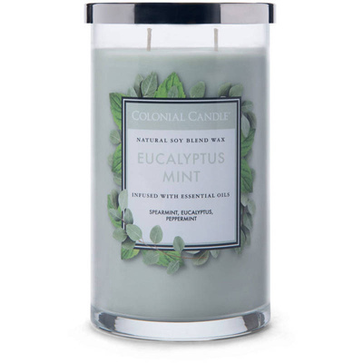 Colonial Candle Classic duża sojowa świeca zapachowa w szkle typu tumbler 19 oz 538 g - Eucalyptus Mint
