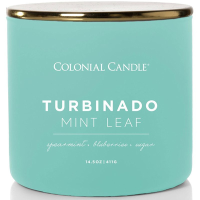 Colonial Candle Pop Of Color candela di soia profumata in vetro 3 stoppini 14.5 oz 411 g - Turbinado Mint Leaf